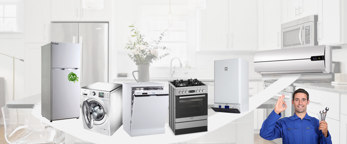 Arpaçay Dominox Servisi